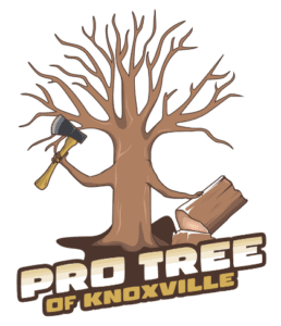 Pro Tree of Knoxville